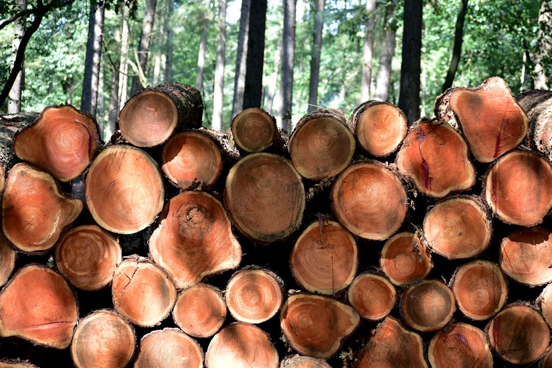log aggregation, log aggregation software, log aggregation tools